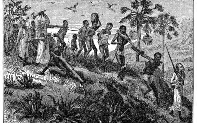 25 interessante Fakten über die Sklaverei