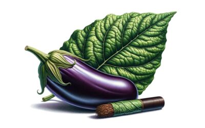 Kuriose Fakten zum Angeben