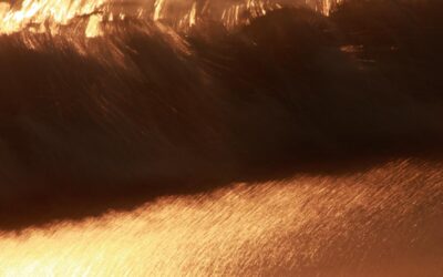 Grausamste Diktatoren: Eine Analyse