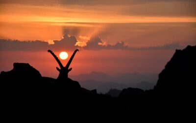 Beliebte Weinfeste in Deutschland