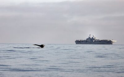 Essex-Wrack-Geschichte